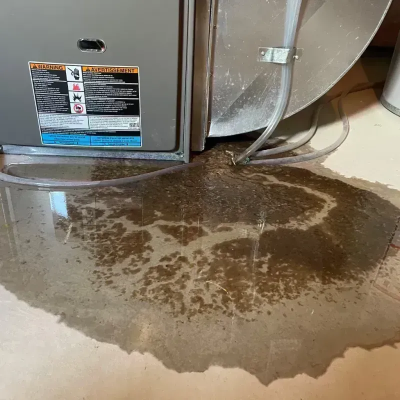 Appliance Leak Cleanup in Deville, LA